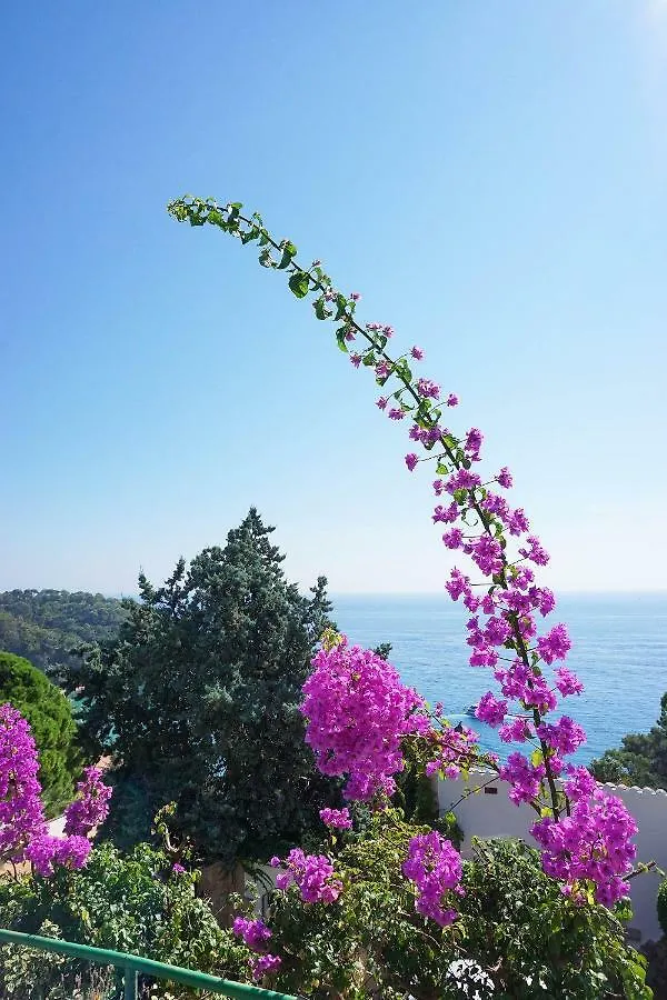 Casa Olive Villa Lloret de Mar Holiday home